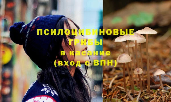 прущие крисы Яранск