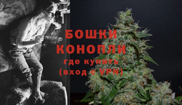 спиды Богданович