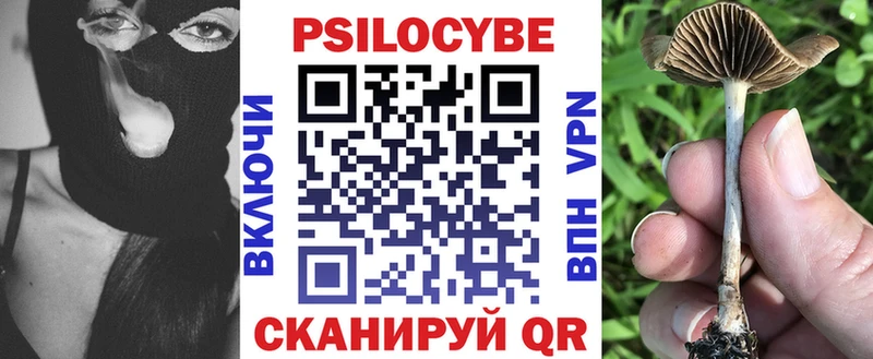 Галлюциногенные грибы прущие грибы  Купить  Вяземский 